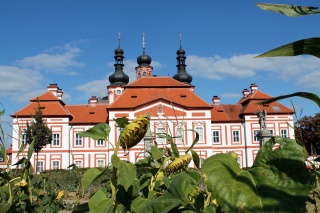 Ansicht mit Sonnenblumen